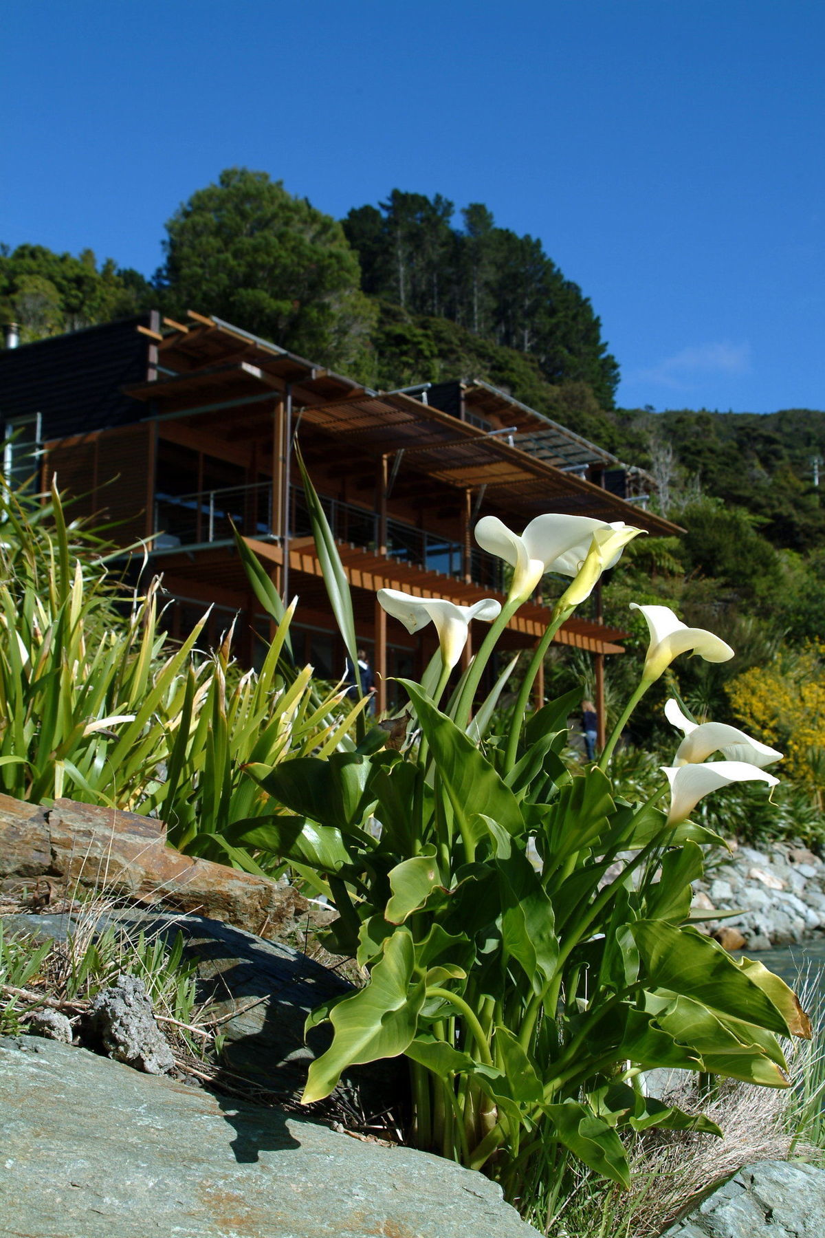 Bay Of Many Coves Hotel Arthur's Bay Luaran gambar