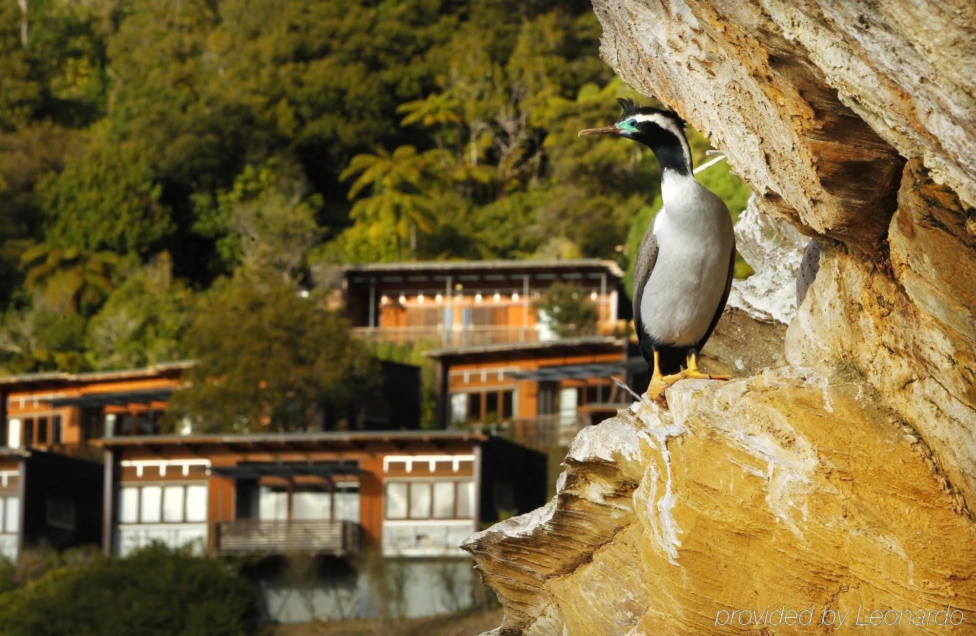 Bay Of Many Coves Hotel Arthur's Bay Luaran gambar